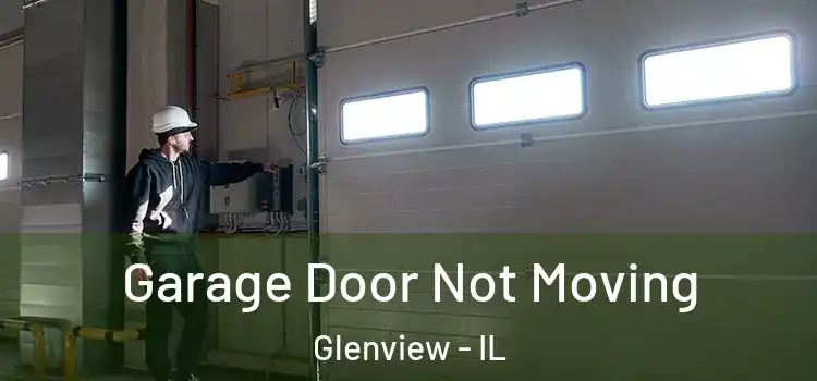  Garage Door Not Moving Glenview - IL