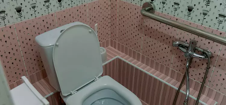 Meeting Diverse Needs With Accessible Restroom Solutions in Glenview, IL